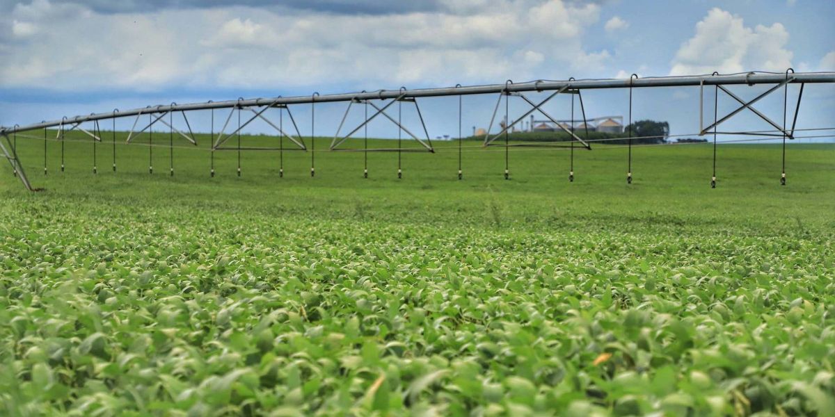 Ministério atende reivindicação do Paraná e altera calendário de plantio de soja na safra 2021/22