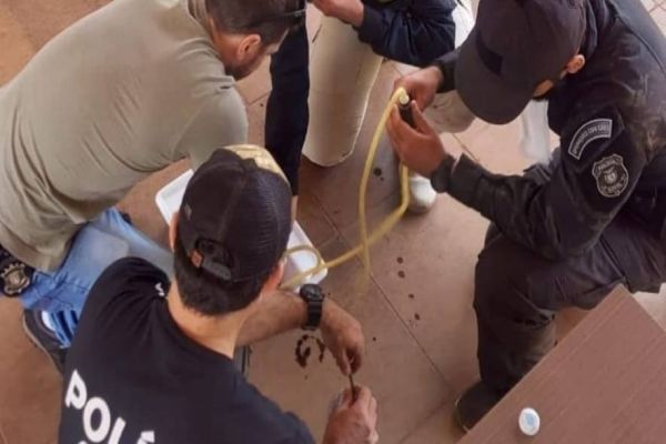 PC PR capacita policias em curso de atendimento pré-hospitalar de combate