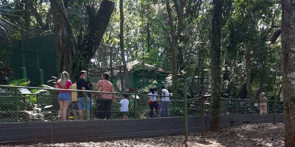 Zoo recebe cerca de mil visitantes pela manhã desta terça-feira (7)