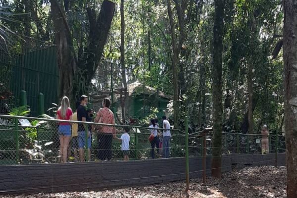 Zoo recebe cerca de mil visitantes pela manhã desta terça-feira (7)