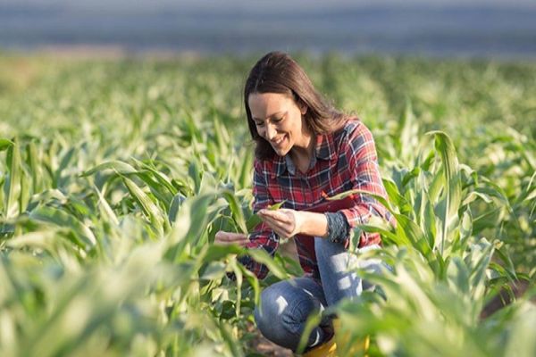 Representatividade feminina no campo em ascensão