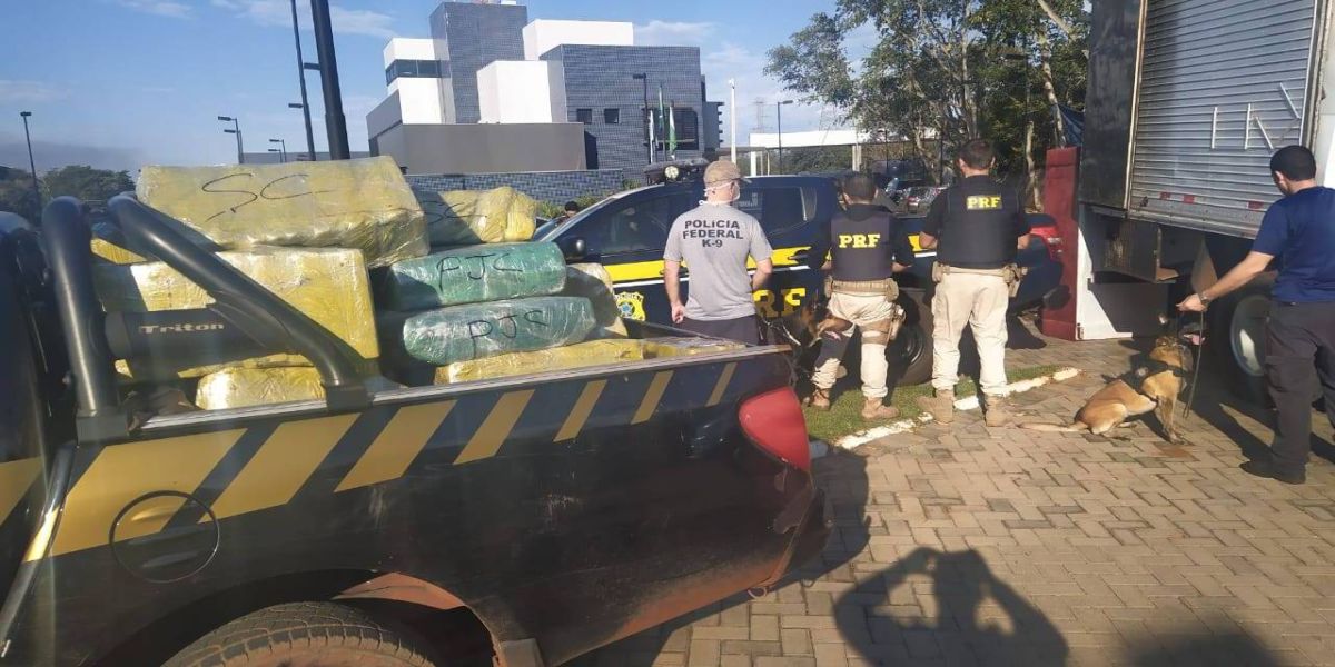 Ação Integrada da PRF, PF e PM/MS resulta na apreensão de 921 Kg de maconha em Guaíra