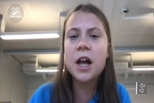 No Senado, Greta Thunberg diz que atuação de líderes do Brasil no meio ambiente é 'vergonhosa'