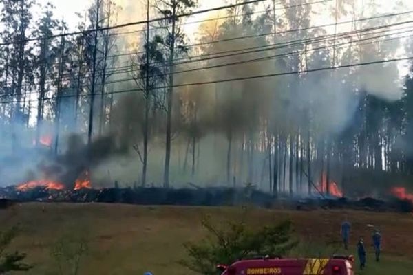 Imagem referente a notícia: Avião de pequeno porte com 7 a bordo cai em mata em Piracicaba: Veja o momento da queda!