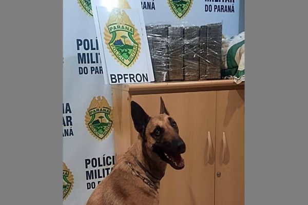 BPFRON apreende droga durante abordagem a ônibus em Lindoeste