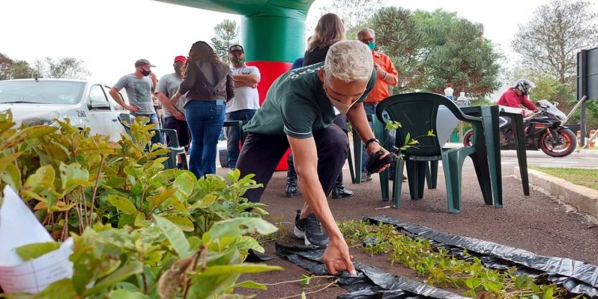 Semana da Árvore: Moradores de Condomínio participam de plantio consciente
