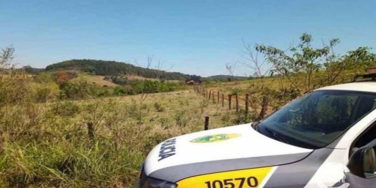 Família se ausenta de propriedade rural e ladrões 'fazem a limpa' na casa em Diamante do Oeste