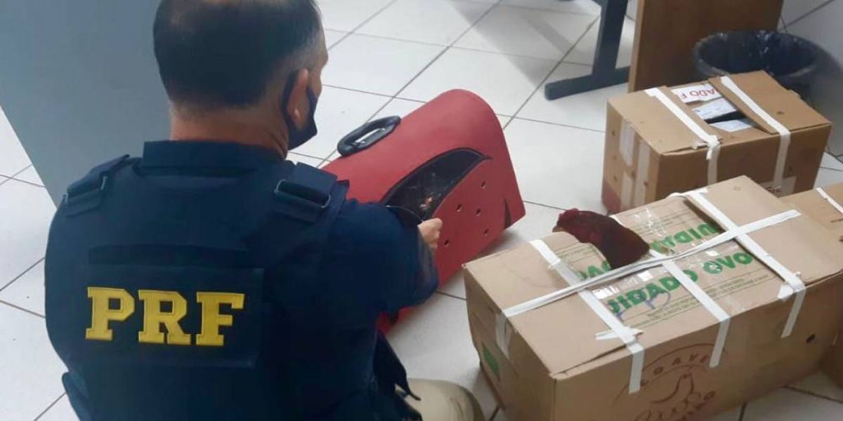 Prefeitura de Boa Vista da Aparecida emite nota sobre a prisão de Leonir dos Santos