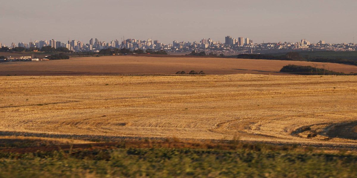 14 municípios paranaenses ultrapassam R$ 1 bilhão em Valor Bruto da Produção Agropecuária