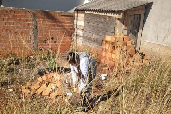 Boletim arbovírose aponta seis casos de dengue em Cascavel