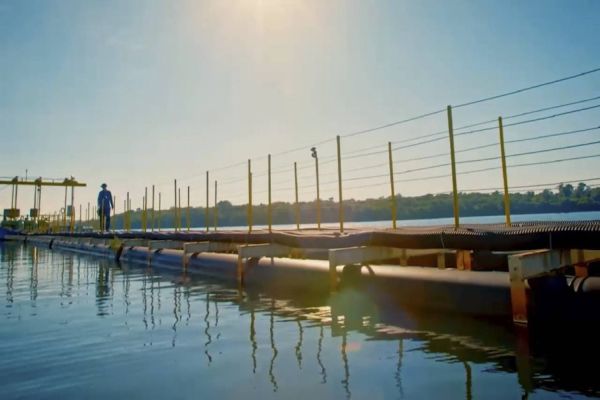 Sanepar participa da Semana do Voluntariado com ações ambientais