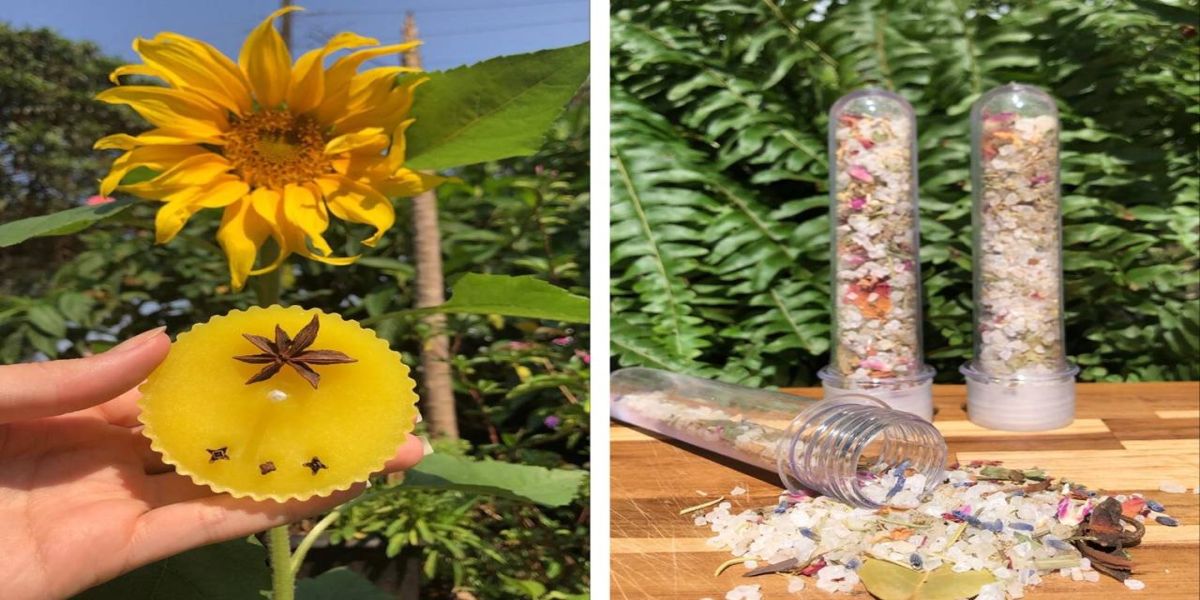 Empreendedorismo: do curso de medicina veterinária à produção de velas aromáticas