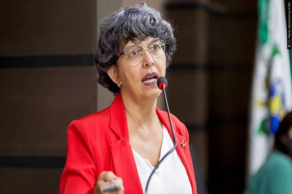 Professora Liliam sobre o PPA: "Esta Casa de Leis escolheu não ouvir seu povo"