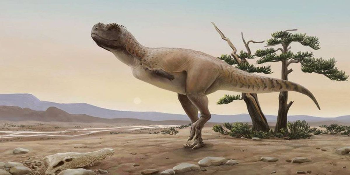 Nova espécie de dinossauro carnívoro é descoberta em São Paulo
