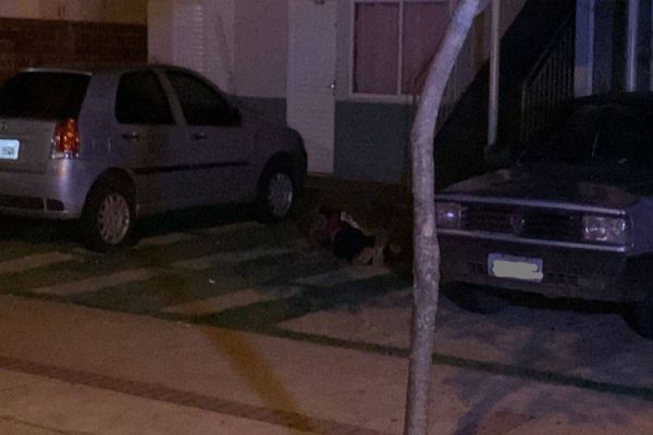 Imagem referente a notícia: Jovem de 21 anos é morto a facadas na Rua Benedita Soares; Autor seria cunhado da vitima