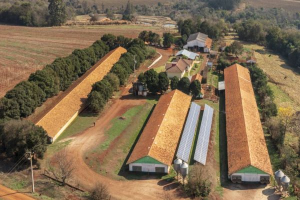 Com demanda em alta, dicas ajudam a escolher melhor projeto de energia solar