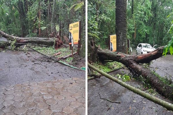 Zoológico Municipal de Cascavel não irá abrir neste domingo (10)