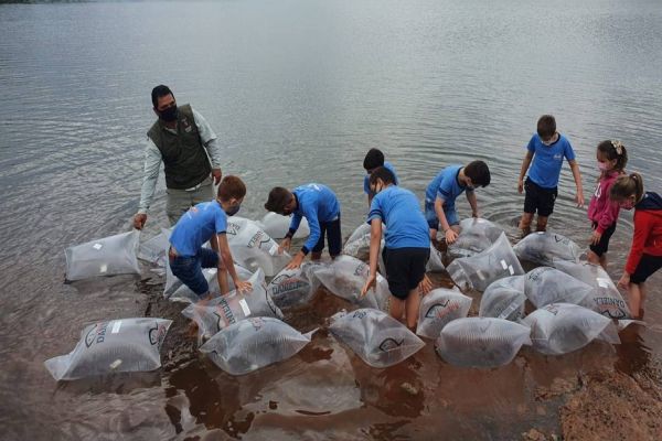 Rio Iguaçu recebe mais 310 mil peixes nativos em ação do Estado