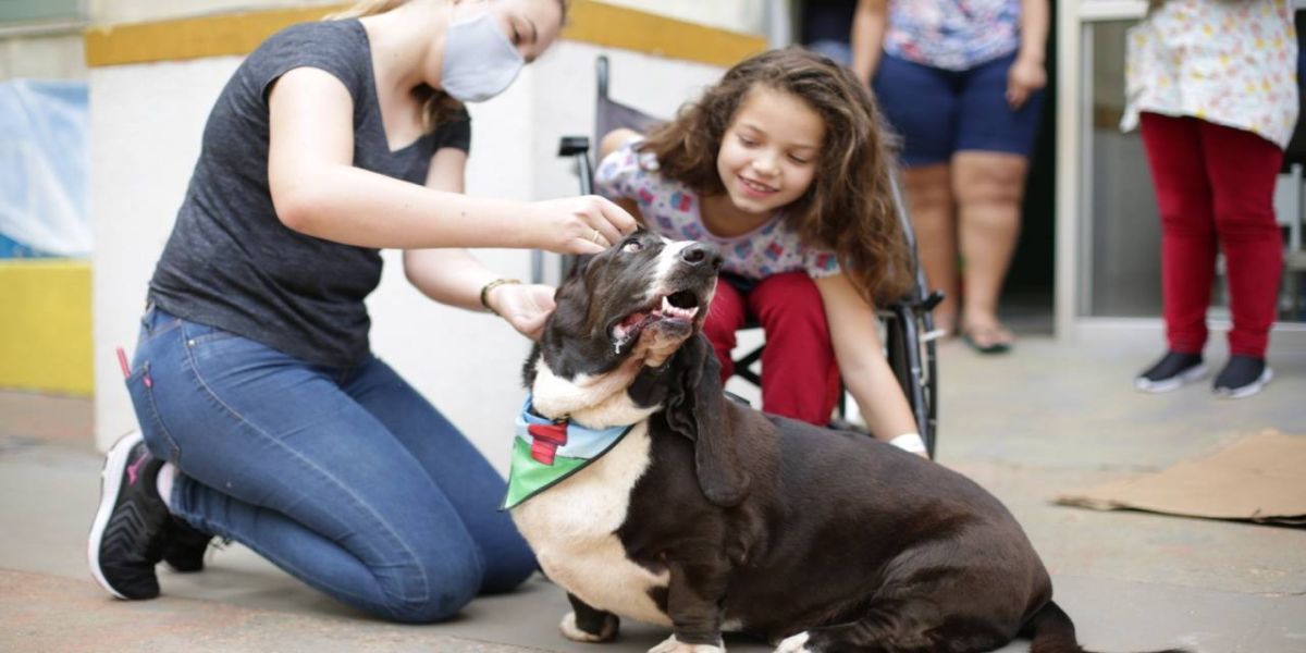 Programação da Semana das Crianças no Huop conta com projeto “Cãoterapia”