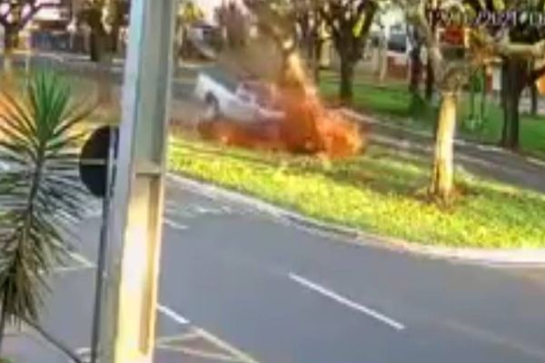 Imagem referente a notícia: Nasceu de Novo: Motorista de caminhonete arranca árvore em colisão: Veja o video