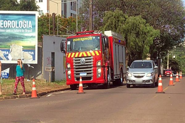 Corpo de Bombeiros é acionado após arvore apresentar risco de queda na Rua Manaus