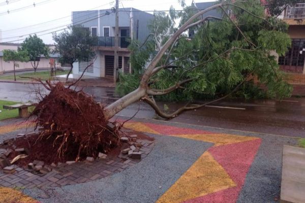 Temporal afeta o abastecimento em cidades do Oeste