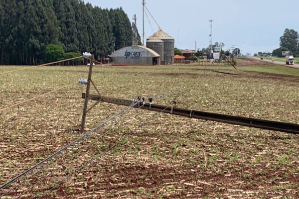 Imagem referente a notícia: Distrito de Sede Alvorada fica sem luz após vários postes de energia cair com forte vento