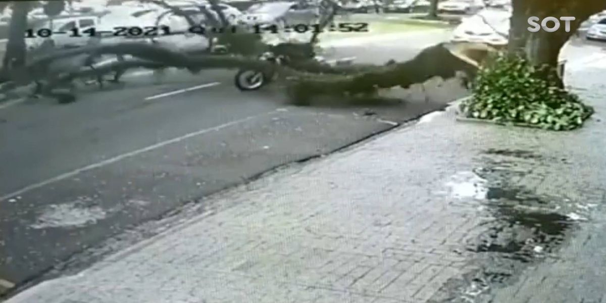 Câmera mostra galho de árvore caindo sobre motociclista durante temporal