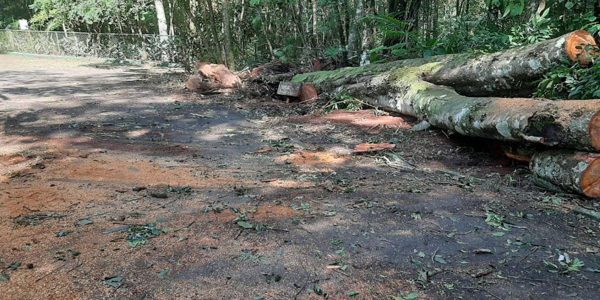 Por questões de segurança, zoo ficará fechado neste fim de semana