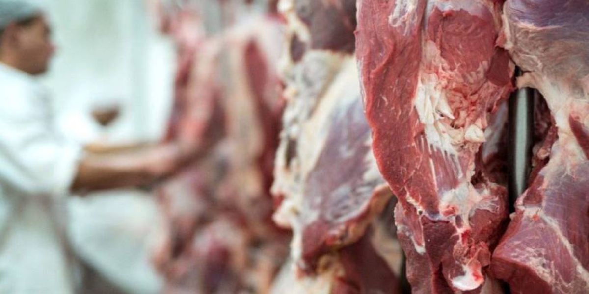 Procon recomenda que açougues deixem de vender ossos e carcaças de animais