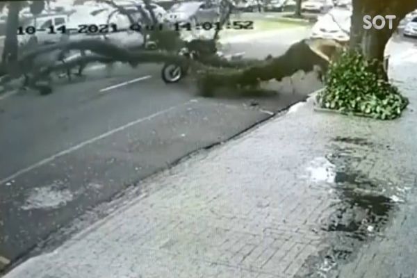 Câmera mostra galho de árvore caindo sobre motociclista durante temporal