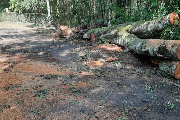 Por questões de segurança, zoo ficará fechado neste fim de semana