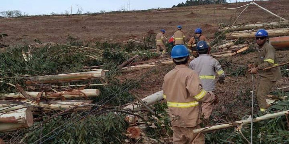 Copel já atendeu mais de 9 mil ocorrências após temporal