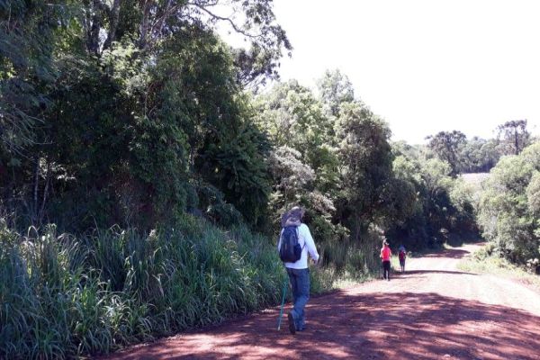 Estão abertas as inscrições para peregrinação Caminho Terra do Sol