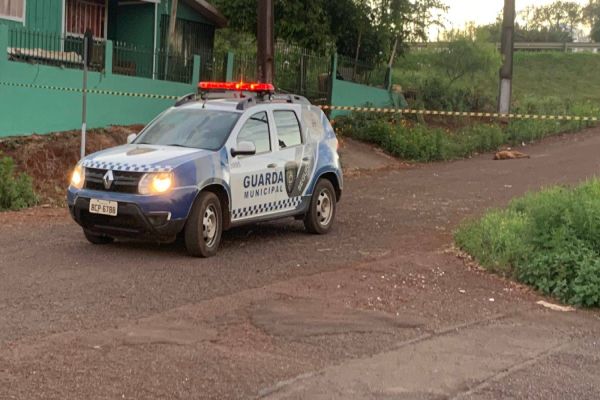 Três cachorros morrem e duas pessoas ficam feridas após ataque de abelhas na Rua Rio Pajeú