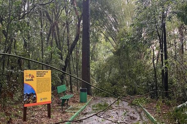 Zoológico de Cascavel é fechado após queda de árvores