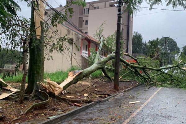 Forte chuva causa vários estragos na região oeste do Paraná