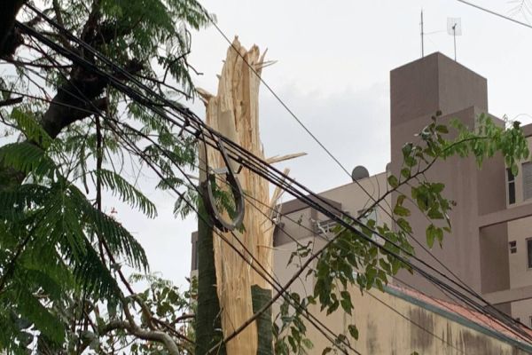 Temporal deixa mais 435 mil consumidores estão sem energia em todo o Paraná