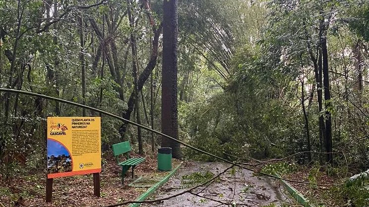 Foto relacionada a notícia: Zoológico de Cascavel é fechado após queda de árvores