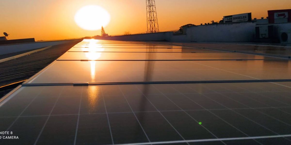 OAB Cascavel se torna modelo de gestão sustentável ao economizar cerca de 88% na conta de energia