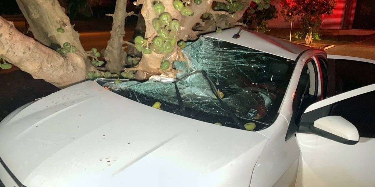 Jovens ficam feridos após colidir Prisma contra árvore no jardim Novo Milênio