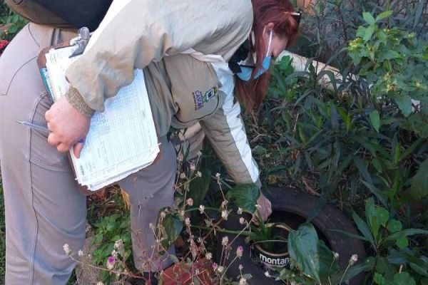 Endemias programa vistorias em bairros com maiores índices de infestação do Aedes