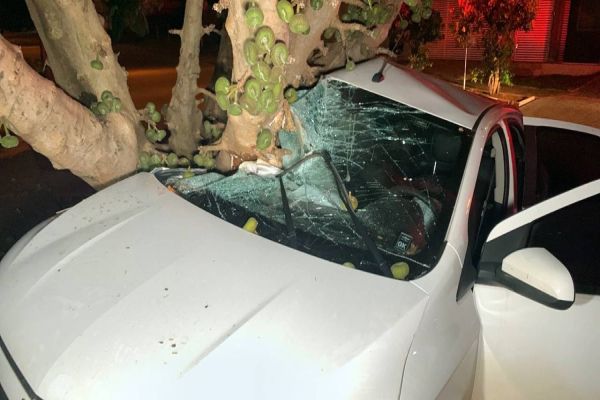 Jovens ficam feridos após colidir Prisma contra árvore no jardim Novo Milênio