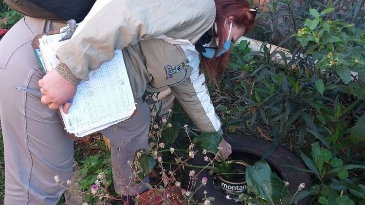 Endemias programa vistorias em bairros com maiores índices de infestação do Aedes