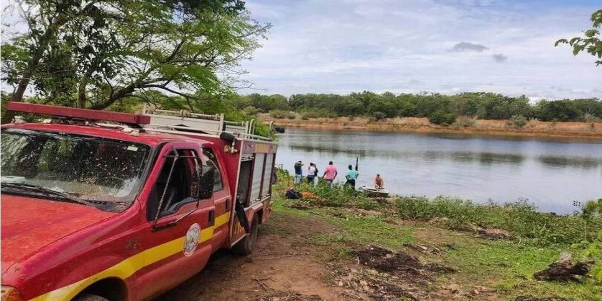 Homem pula em lago para fugir de abelhas e é atacado por piranhas