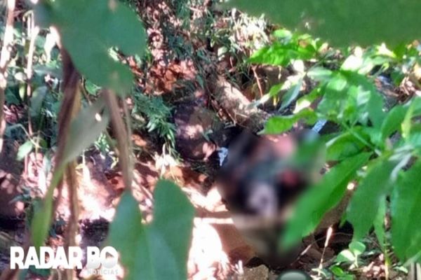 Corpo é encontrado boiando em riacho de Ouro Verde do Oeste