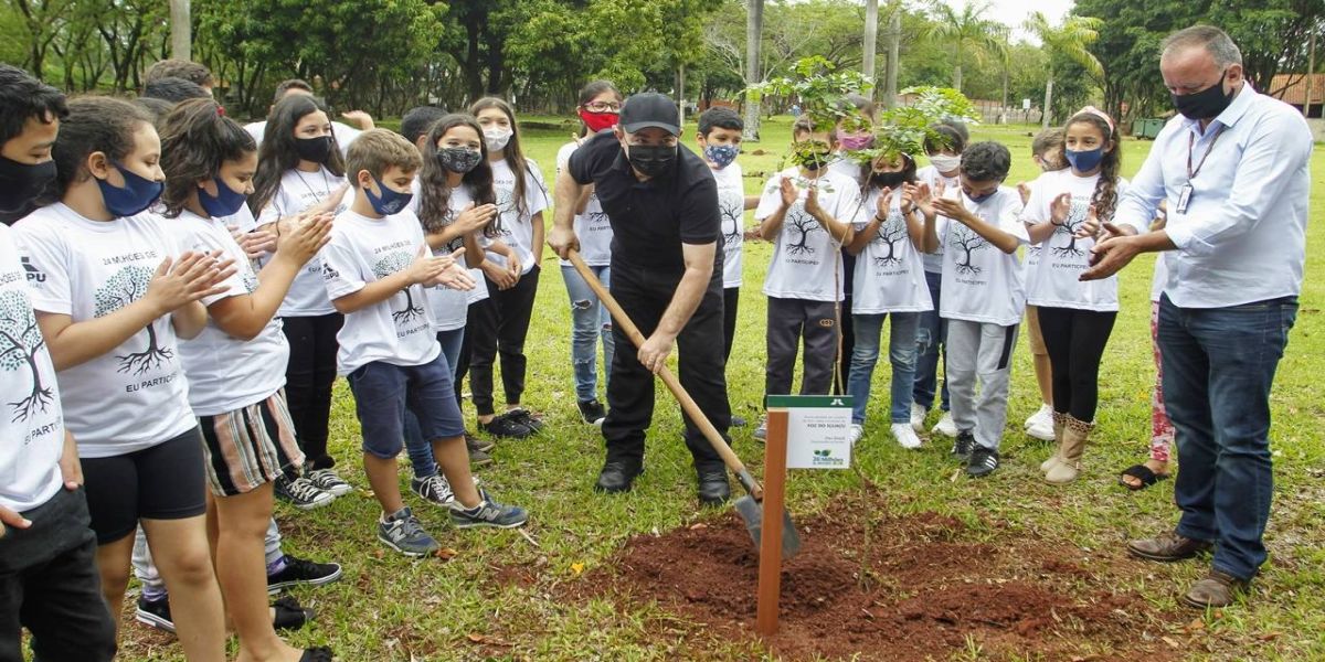 Itaipu e lindeiros concluem fase municipal da campanha de 24 milhões de árvores plantadas