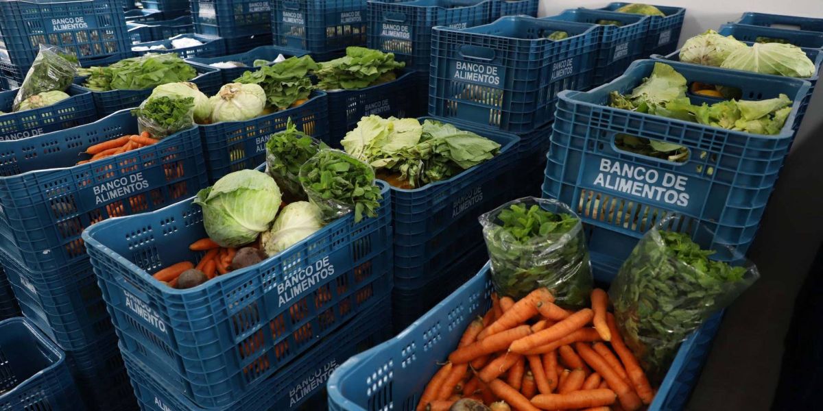 Ceasa Paraná fará concurso público para modernizar quadro funcional