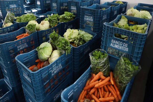 Ceasa Paraná fará concurso público para modernizar quadro funcional