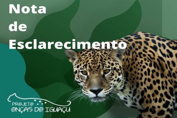 Projeto Onças do Iguaçu se manifesta após fatalidade com flamingos no Parque das Aves